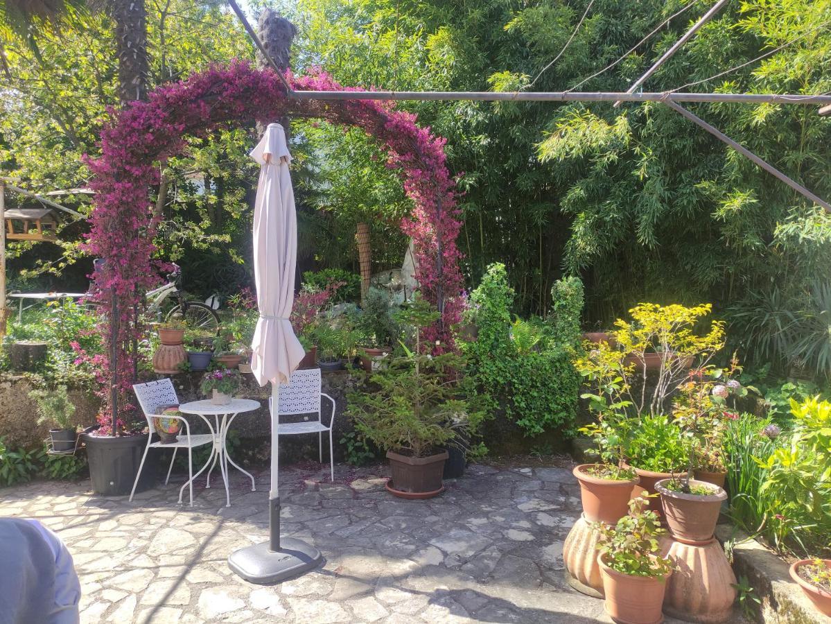 Apartment Valenta Poreč Eksteriør billede